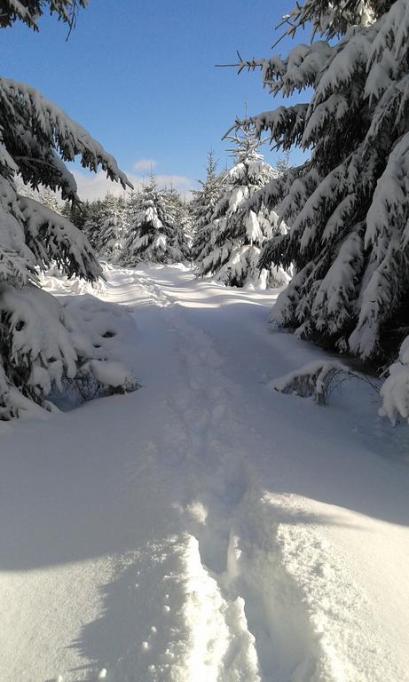 La Grange Du Bout Du Chemin Villa Houffalize Eksteriør billede